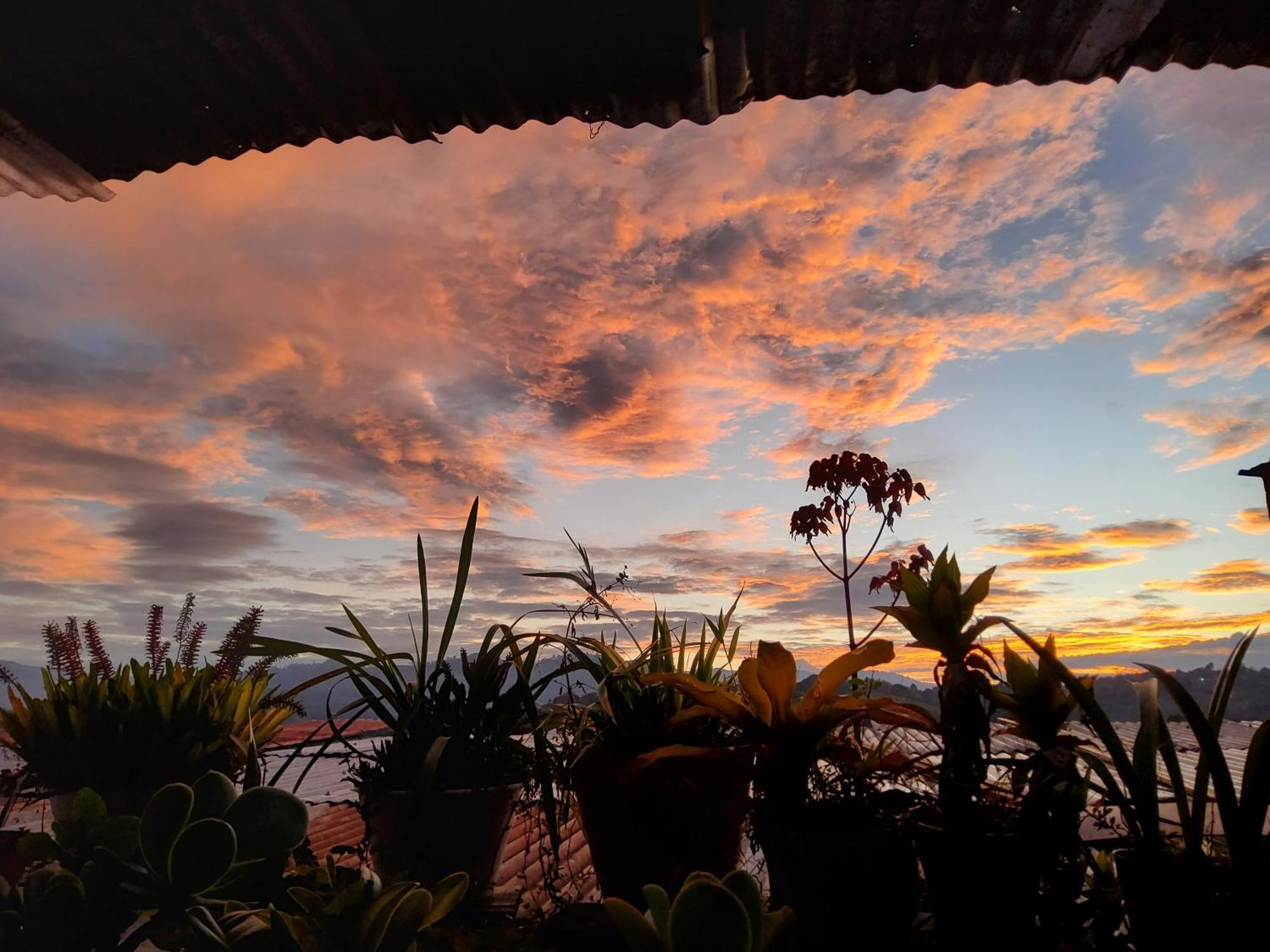 Hostal Musica Y Arte San Agustín エクステリア 写真
