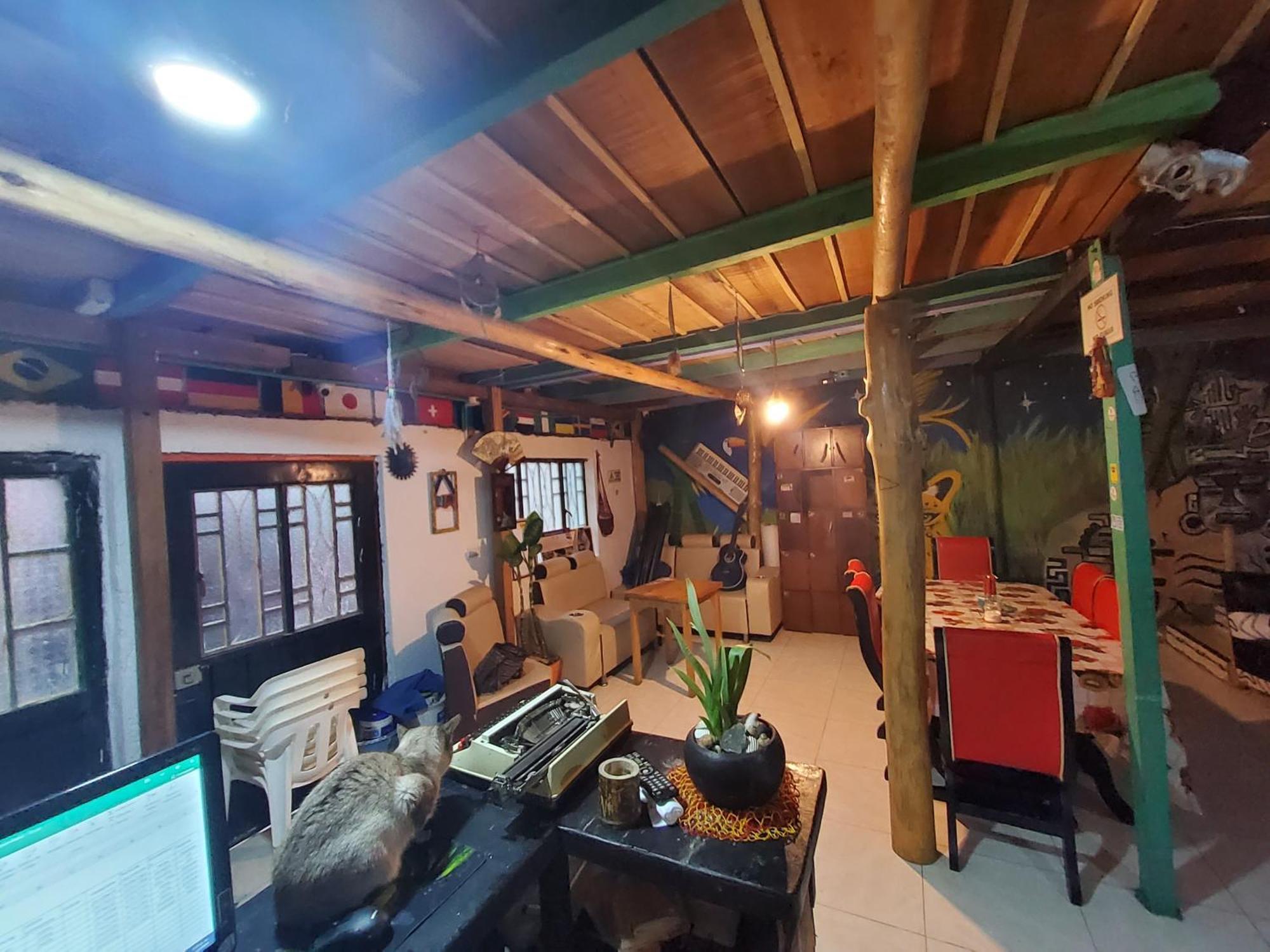 Hostal Musica Y Arte San Agustín エクステリア 写真
