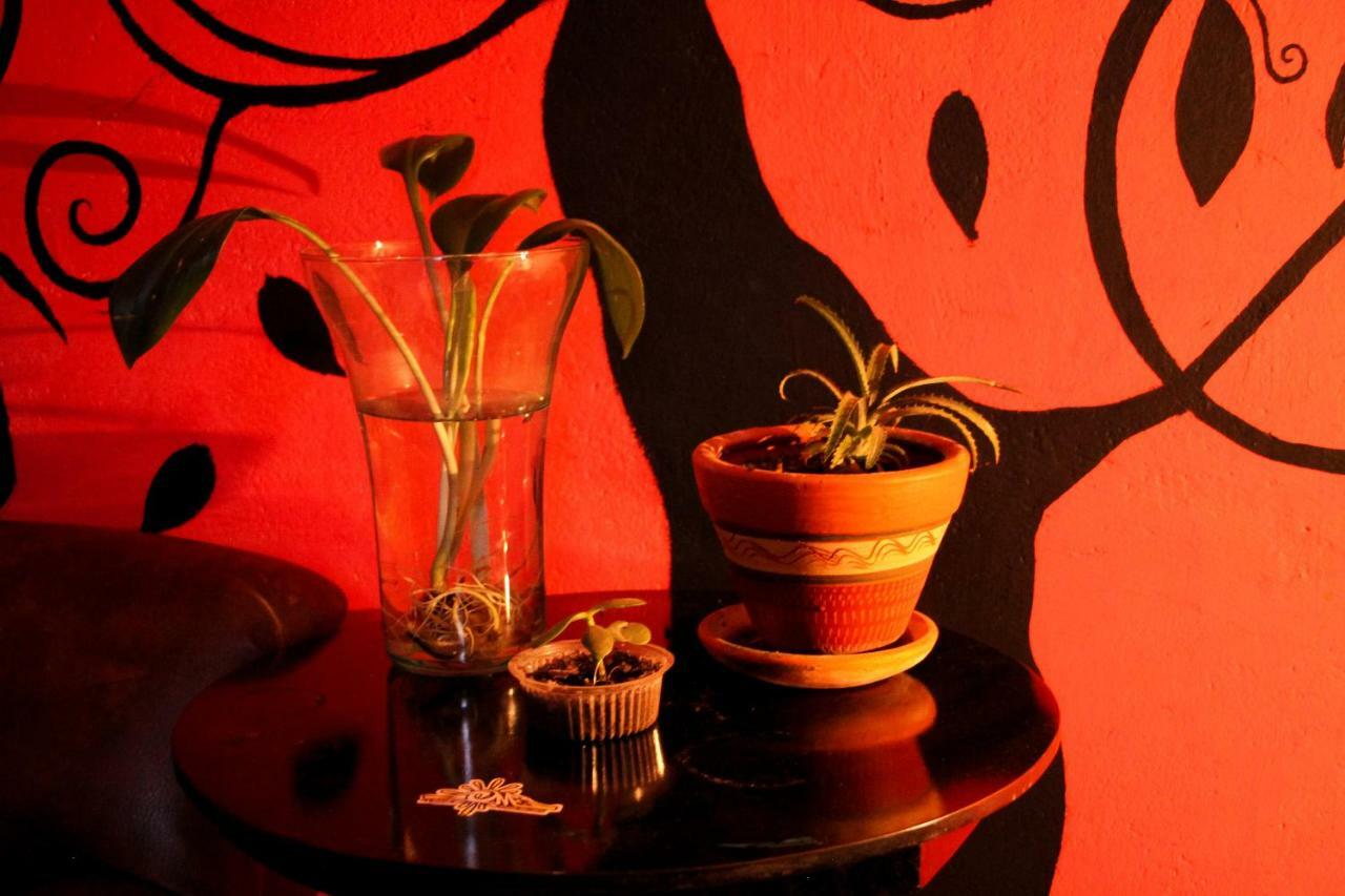 Hostal Musica Y Arte San Agustín エクステリア 写真